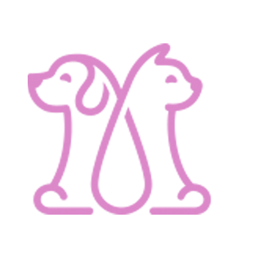 Melisa Chihuahua Puppies